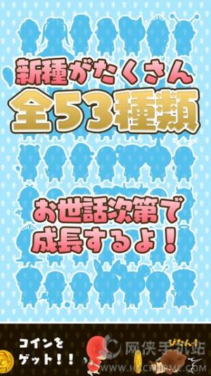 徫`BOX iOSD4