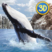 ģM΄3D