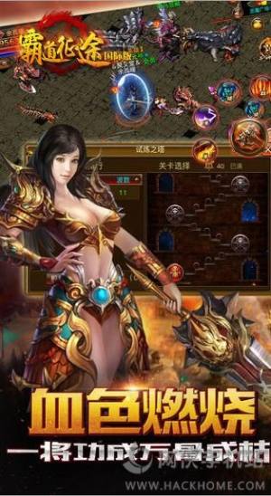 Ե;HD1