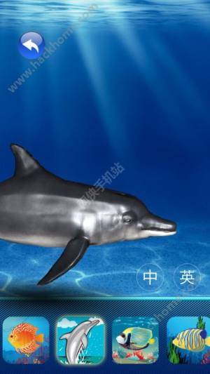 3Dˮ^[D3