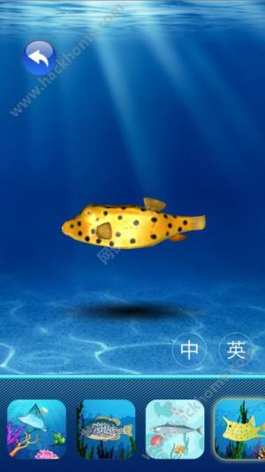 3Dˮ^[D4
