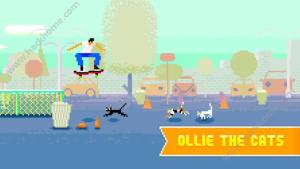Ollie CatsD1