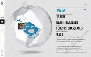 WWF Together׿D2
