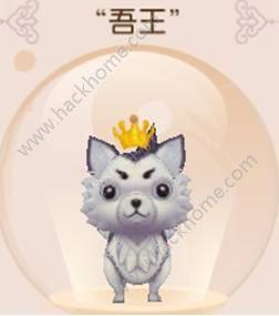 R龉427ո¾So Hȫ_DƬ8