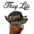 ThugLifeܛ