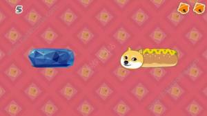 Crash Doge[D3