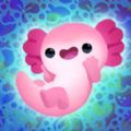 Axolochi[