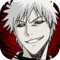 BLEACH֮X[