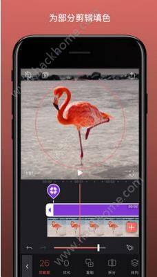 Enlight Videoleap׿D3