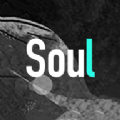 Soulܛ