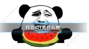421ʲN˼ ʘȦ421¼ԔDƬ1