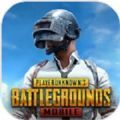 pubg mobile 2021H׿