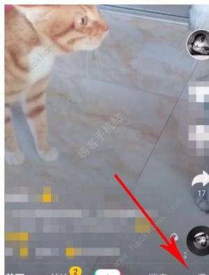 抖音主頁訪客記錄怎麼看 主頁訪客記錄查看方法圖片1