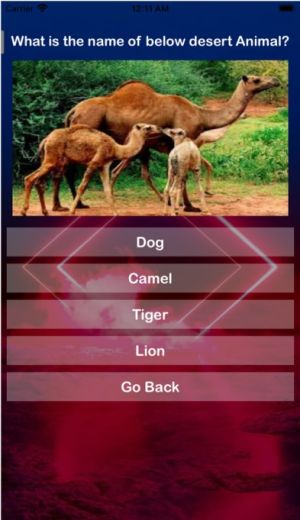 Wildax Mart appD3