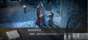 黑色沙漠手遊華麗的城市卡爾佩恩圖鑒任務怎麼做 卡爾佩恩圖鑒任務完成攻略圖片4
