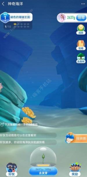 支付寶神奇海洋攻略大全   神奇海洋遊戲入口分享圖片2