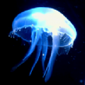 ˮĸӰԺܛ