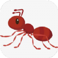 [ρxapp