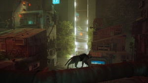 Stray[WD3