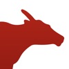 Oxen