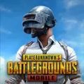 pubgH2.6汾