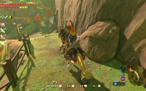 王國之淚武器融合材料大全 怎麼繼承前作馬匹圖片1