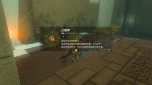 王國之淚武器融合材料大全 怎麼繼承前作馬匹圖片5