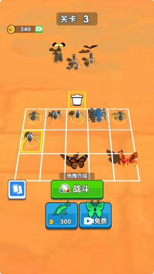 Insect Evolution 3DVD3