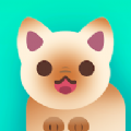 ȿ˺İ