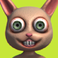 db