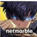 Solo Leveling ARISE[