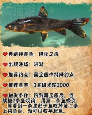 歡樂釣魚大師典藏神獸魚有哪些 典藏神獸魚釣取觸發技巧詳解圖片2