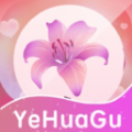 ҰYC