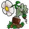 PVZ E֧