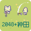 2048Nt